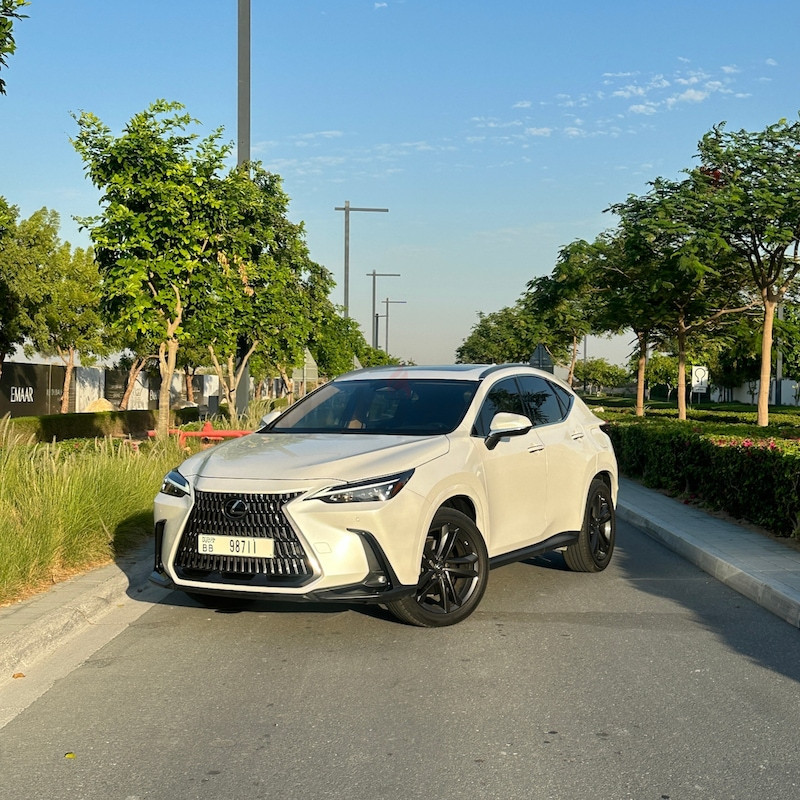 Lexus NX 350 Premier-image