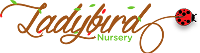 LADYBIRD NURSERY